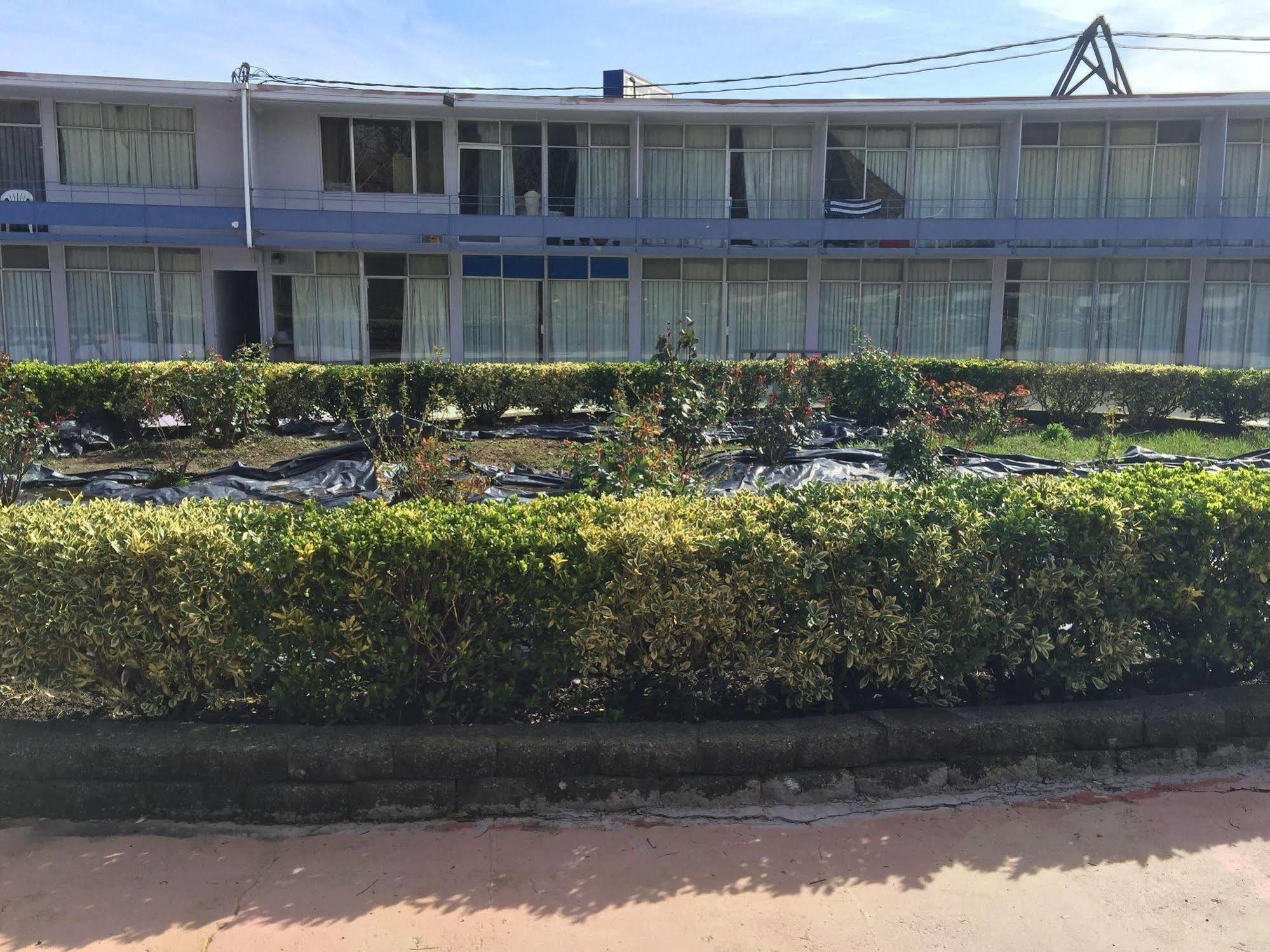 Budget Inn オールバニ エクステリア 写真